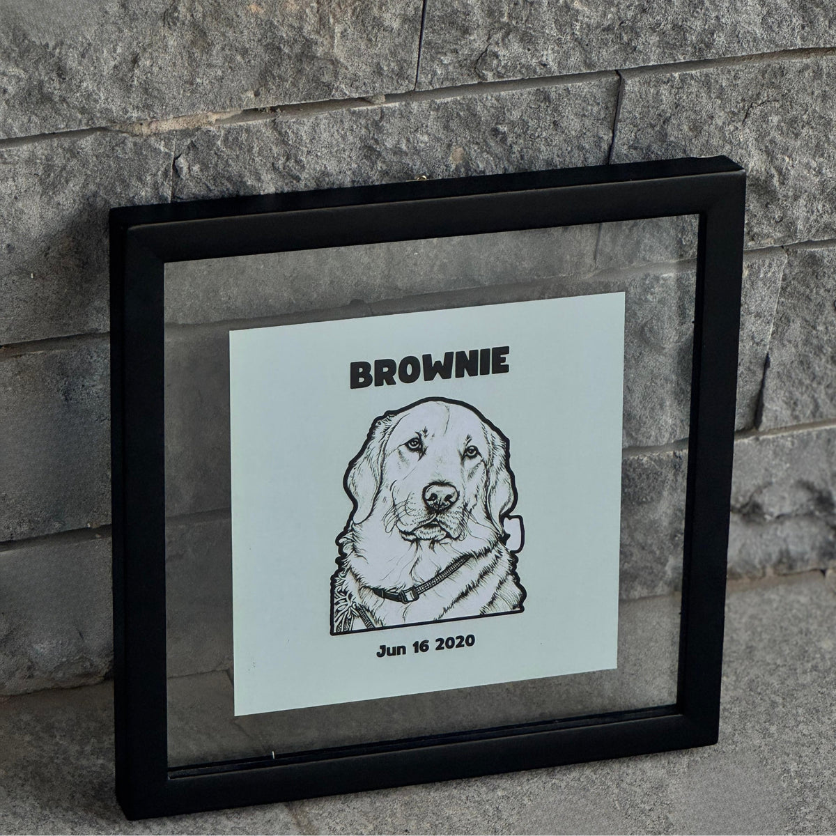Customized Pet Portrait Poster