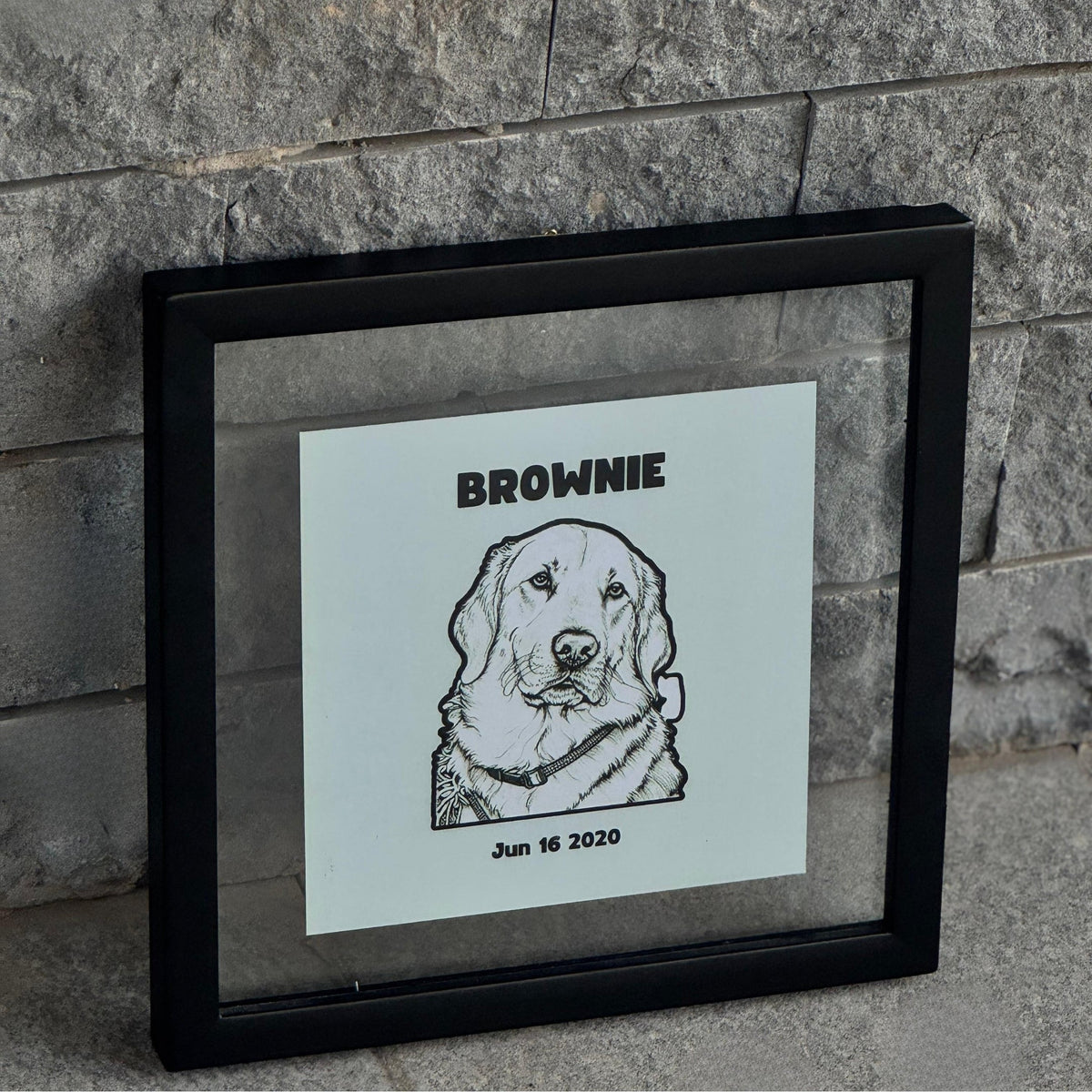 Double Glass Frames